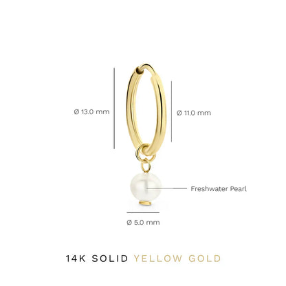 Delia Crest Earrings | Gold